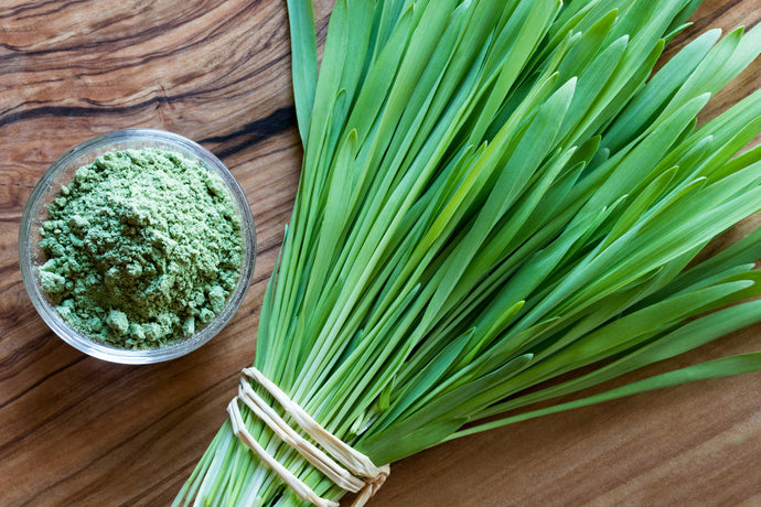 HOW BARLEY GRASS CAN CHANGE YOUR LIFE