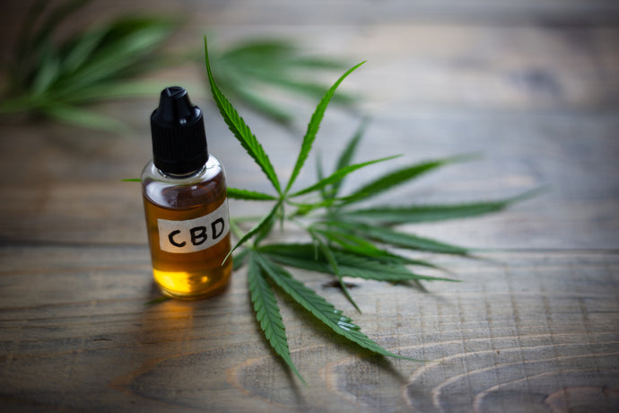 HOW OFTEN SHOULD YOU USE CBD MUSCLE BALM? HERE’S EVERYTHING YOU NEED TO KNOW…