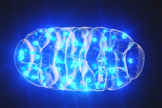 How Can I Boost Mitochondria For Optimal Health?
