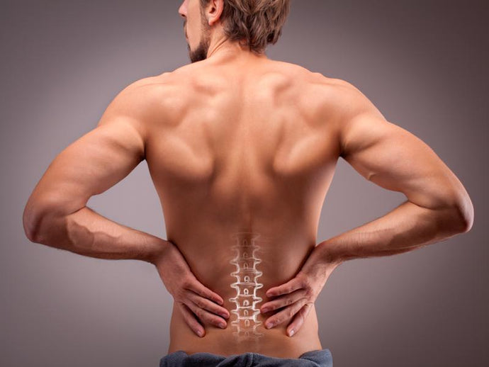 WHAT IS THE BEST EXERCISE FOR LOWER BACK PAIN? 8 EXERCISES TO ADD TO YOUR WORKOUT TODAY!