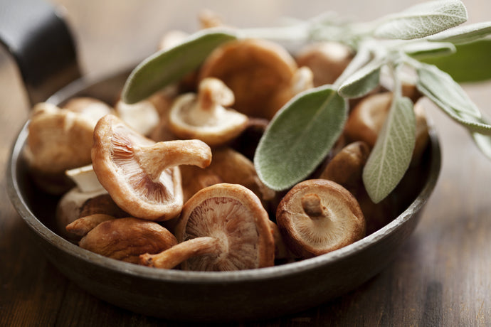 Are Mushrooms Good for You? Exploring Health Benefits