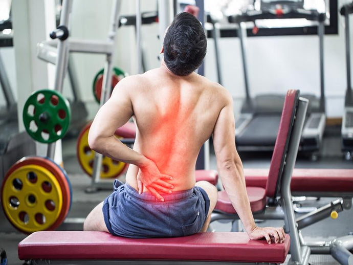 What organs can cause lower back pain? 8 Organs That Might Be the Culprit…