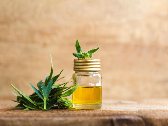 CAN YOU TAKE TOO MUCH CBD BALM? HERE’S WHAT YOU NEED TO KNOW