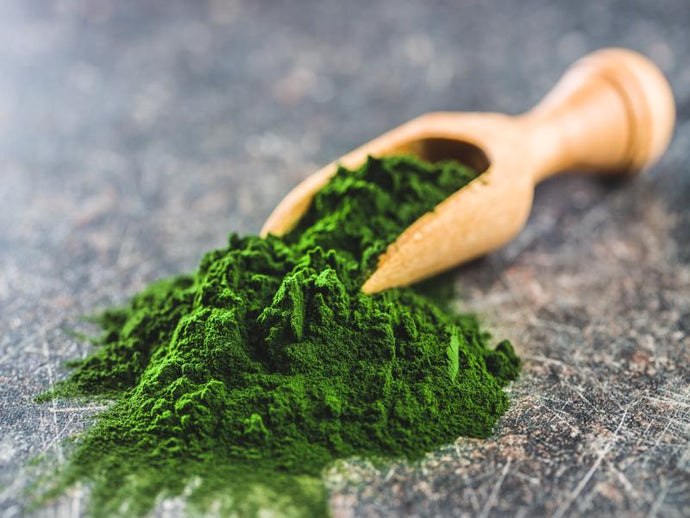 FIND OUT WHAT MAKES CHLORELLA SUCH AN AMAZING SUPERFOOD