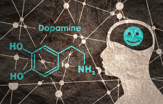 Boost Your Brain: How To Raise Dopamine with Supplements