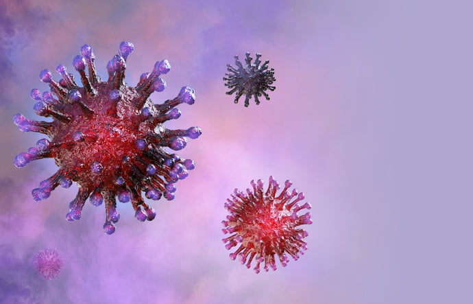 HOW DOES THE BODY FIGHT A VIRUS? AN IN-DEPTH LOOK AT YOUR IMMUNE SYSTEM…